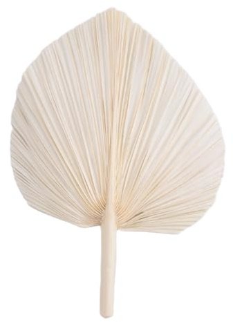 Lobamop Grandes Feuilles de Palmier SéChéEs Blanches - Qualité Premium - 3 PièCes SéRies ÉLéGant Moderne de Maison et de Mariage - Art Mural