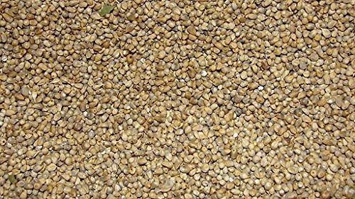 JALPUR MILLERS Whole Millet Seeds 2kg - Bajri Whole - Premium Quality Grain Millet for Cooking, Grinding into Flour & Traditional Indian Recipes - High Fibre - Natural & Wholesome - Gluten Free Diets