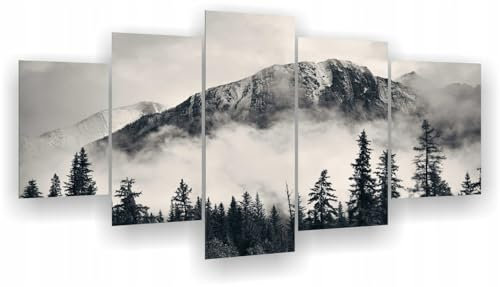 HUBDECO 5-Teiliges Leinwand Bild Wohnzimmer - Bilder, Poster, Kunstdrucke - Leinwandbild - Bild auf Leinwand - Tolle Zimmerdekoration - Schlafzimmer Bilder - 158x90 cm Berg Nebel