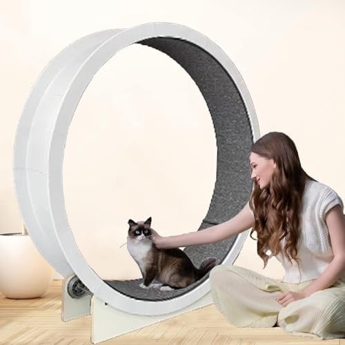 Katzenlaufrad für Hauskatzen, 120 cm großes Katzenlaufband mit Teppichlaufbahn, Katzenlaufrad