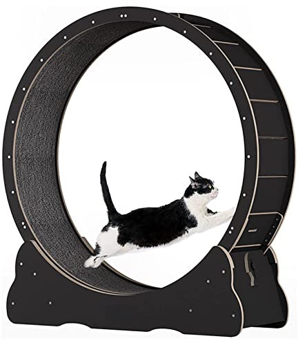 Yinghesheng Katzenlaufrad, Katzenlaufband für Hauskatzen, Katzenspinnrad, Katzenspielzeug, interaktives Katzenspielzeug, Katzen-Abnehmgerät für Katzen Aller Größen (geräuschlos),Schwarz