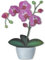Articlings Flower Pot Static Clings Window Stickers, Decoration for Home and Garden - Orchid