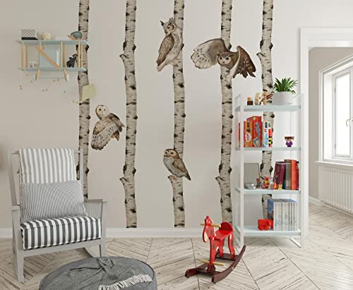 igibee Wandtattoo mit Birkenbaum & Eulen, Selbstklebender Wandaufkleber für Kinderzimmer, Wandsticker für Jungen & Mädchen, Wanddeko für Kinder, Einfaches Anbringen & Rückstandsloses Entfernen