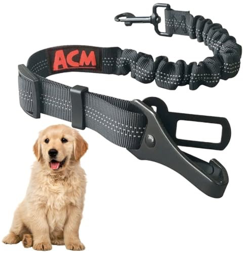 Correa Perro Coche | Cinturon Perros Coche | Cinturon Seguridad Perro Coche Doble Enganche