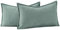 Madizz 2er Set Schlicht Chenille Kissenbezügen Weiche dekorative Kissenbezüge für Sofa Schlafzimmer Kissenhülle Blaugrau 40x60 cm Rechteckig