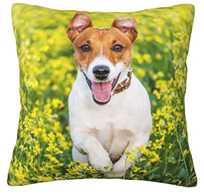 Sofakissenbezug Jack Russel auf Blumenwiese Plüsch-Kissenbezug weicher quadratischer Kissenbezug für Bett, Sofa, 45 x 45 cm