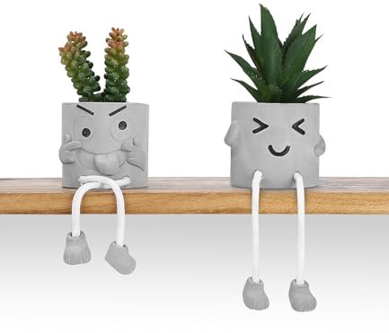 Cexovo Plantes Artificielles Interieur 2 Pièces Fleurs en Ciment Plantes Succulentes Petits Succulents avec Pattes Suspendues Design pour Bureau Salon Chambre Salle De Bain