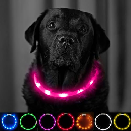 Light Up Dog Collar Pink - Extra Bright LED Collar - USB Rechargeable - Cut to Fit (20cm to 70cm) with Static or Flashing Mode - Weatherproof, Easy Clean, High Visibility & Full Guarantee