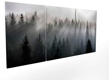 Panorama Leinwandbild Bilder Wald mit Nebel 210 x 100 cm in 3 Stück - Gedruckt auf Leinwand mit Rahmen - Stoffbild XXL Wohnzimmer - 3 teilige Dekoration
