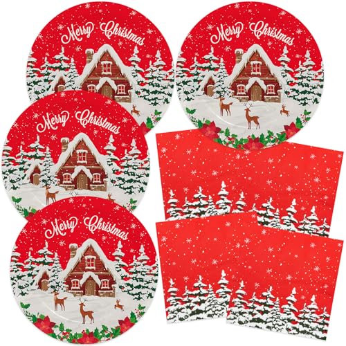 HNH Set di Piatti e Tovaglioli per Natale | Casa della Neve | Piatti 23cm, 33cm e Tovaglioli di Carta | Stoviglie Usa e Getta per 20 Persone