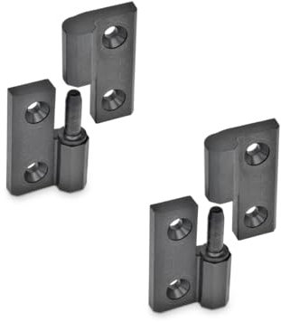Ganter Normelemente | Charnières amovibles en plastique | Roulement fixe à gauche | 60 x 60 mm | GN 337.1-60-60-8-A-2-SW