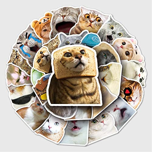 Bric Dodo 50 Stück Meme Cat Aufkleber Auto Laptop Telefon Gitarre Skateboard Motorrad Fahrrad Meme Katze Stickers Set Vinyl Wasserdicht Aesthetic Aufkleber für Jugendliche Kinder Erwachsene