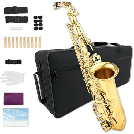 Yinfente Eb Flat Alto Saxophone Kit with 10 Reeds, 8 Pads, Hard Case, Gold Finish