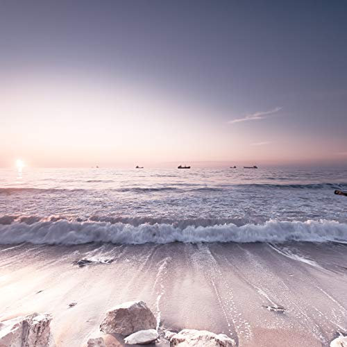 Forwall Fototapete Vlies Wanddeko Strand Meer - Sand Sommer Palmen Sonne Vliestapete Wand Tapete Moderne Wohnzimmer Schlafzimmer Wanddekoration 13308V8 368cm x 254cm