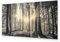 murando - Akustikbild Wald 135x45 cm 1 tlg Bilder Akustikschaum Schallschutz Kunst Akustikpaneele Wandpaneele Schalldämmung Wandbild Schallabsorber Waldlandschaft Natur Panorama c-B-0077-b-c