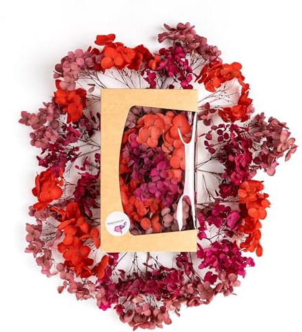 Getrocknete Hortensie Echt - Trockenblumen zum Basteln - Für natürliche Deko - Perfekt für schöne Herbst Dekoration (Rot)