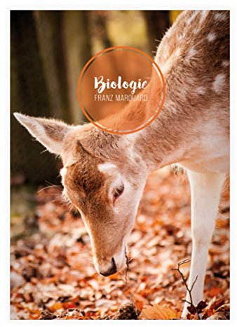 4 personalisierte zauberhafte Wald DIN A5 Schulhefte, Schreibhefte mit Dammwild Kitz, braun Lineatur 4 (liniertes Heft 16 Blatt/32 Seiten) Notizheft, Kladde für Schule, Universität, Büro