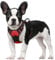 rabbitgoo Hundegeschirr Mittelgroße Hunde Anti Zug Geschirr Hund mit Kontrolle No Pull Verstellbar Hundegeschirr Grosse Hunde Atmungsaktiv Reflexstreifen Brustgeschirr Hund Sichere Führung Rot S