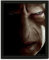 Pyramid International Europe Harry Potter 3D Lenticular Poster (Harry vs Voldemort) 25cm x 20cm x 1.3cm im Rahmen - Offizielles Lizenzprodukt