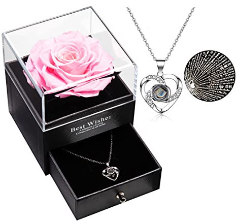 Eaprala Ewige echte Rose mit I Love You Halskette 100 Sprachen Schmuck Geschenkbox Ewige echte Rose für Valentinstag Muttertag Hochzeit Jahrestag Geburtstag Geschenk für sie (Rosa)