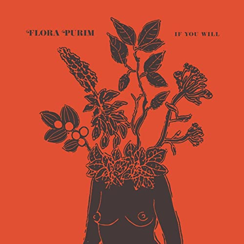 Strut / Indigo