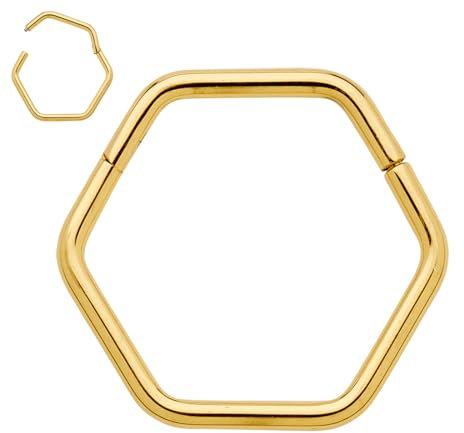 365 Sleepers (8mm) Titan 1,0 mm Sechseckiges Segment Nasenring Hoop Knorpelohrring Septum Clicker Klappbarer Lippen Conch Daith Helix Rook Tragus Lobe Snug Piercing Schmuck