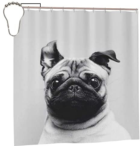 AROONS Duschvorhang mit Mops-Motiv, bedruckt, mit 12 Haken, blickdicht, schnelltrocknend, wasserdicht, für Badezimmer, 183 x 183 cm