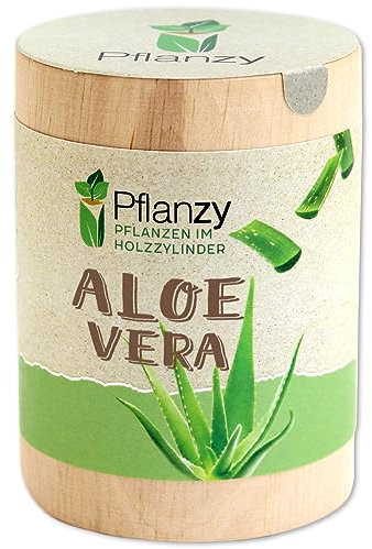 Feel Green Pflanzy Aloe Vera, Nachhaltige Geschenkidee (100% Eco Friendly), Grow Your Own/Anzuchtset, Pflanzen im Holzzylinder, Made in Austria, Holz