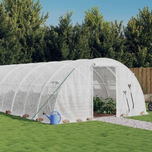 JUNZAI Invernadero con Estructura de Acero Blanco 24 m² 6x4x2 m, Invernaderos Huerto, Invernaderos Jardin, Invernaderos Terraza, Huerto Urbano, Grande portátil jardinería plantación