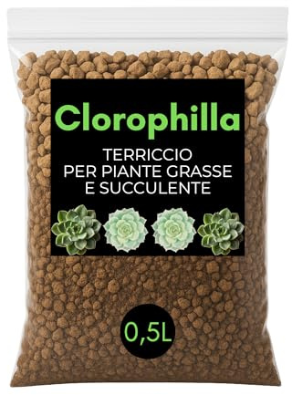 Clorophilla – Terreau professionnel pour plantes succulentes et succulentes, substrat drainant avec sable volcanique, sable de rivière et pierre ponce | Idéal pour Cactus, succulents et plantes Appart
