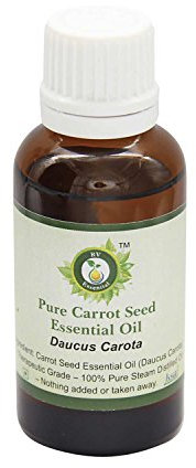 Carrot Seed Essential Oil | Carrot Seed Oil | Daucus Carota | for Hair | for Face | for Skin | Undiluted | 100% Pure Natural | Steam Distilled | Therapeutic Grade | 50ml | 1.69oz by R V Essential