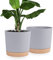QCQHDU Lot de 2 Pots de Plantes 30.5cm, Pots pour Plantes d'intérieur avec Trous de Drainage et Base Amovible, Soucoupe décorative Moderne pour jardinières d'extérieur (Gris Clair 30.5cm)