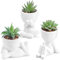 Der Rose Lot de 3 plantes succulentes artificielles pour salle de bain, chambre à coucher, décoration d'intérieur