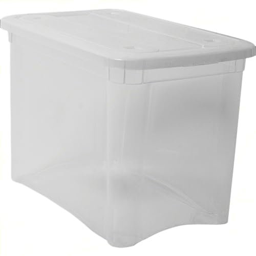 Sicignano | Contenitore Organizer Storage Box Scatola Multiuso con Coperchio, Plastica Trasparente, Impilabile, Rettangolare - Soggiorno Camera da Letto Garage Vestiti Scarpe (2, 18 lt)