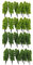 40 Pezzi Modello Alberi Scala N Layout FAI DA TE Treno Scenario Accessori 3 Pollici 1/150 Scala Verde Scuro Verde Chiaro Alberi di Plastica per Set Treno