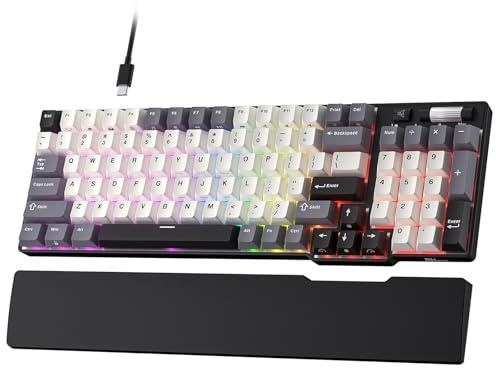RK ROYAL KLUDGE C96 8K HE Mechanische GamingTastatur Magnetschalter, QWERTY | 90% kabelgebundene Hall-Effekt-RGB-Tastatu, schnelle Trigger-Einstellbetätigung, 8K-Abfragerate, Pro-Treiber für Spiele