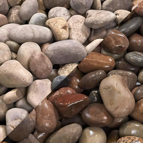 Scottish Cobbles 50–80mm Decorative Garden Stones, 25kg Natural Beach Cobbles for Landscaping, Water Features, Borders and Outdoor Ground Cover