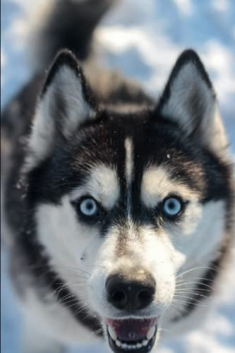Husky Notebook: Adorable Cute Husky Lined Notebook Journal Animal Themed Gift For Husky Lovers 6x9 120 pages