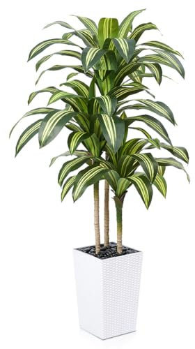 VeriNatural Drácena Artificial 150 cm - Planta Artificial Grande con Hojas Ajustables, Protección UV, Maceta Blanco Cónica Plantas - Decorativas para Hogar, Oficina, Jardín e Interior Exterior, VN127