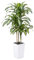 VeriNatural Plante Artificielle Dracaena 150cm - Arbre Artificiel Décoratif Vert avec Pot Blanc Conique, Résistant aux UV - Plante Grande pour Décoration Intérieure et Extérieure Maison Bureau, VN127