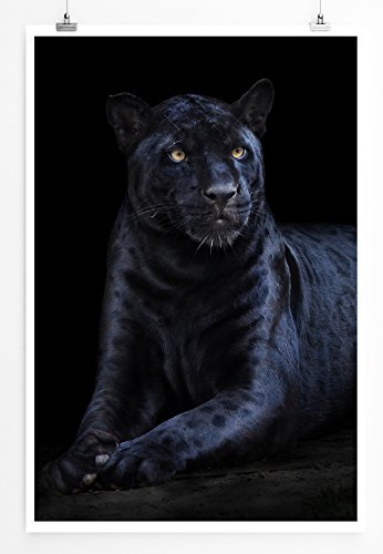 Eau Zone Bilder - Tierbilder – Seltener schwarzer Jaguar- Leinwand Kunstdrucke Wandbilder aus Deutschland