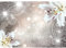 Runa Art Fototapete Lilien Blumen Ornament Modern Vlies Wohnzimmer Schlafzimmer - Made in Germany - Braun 9197010c