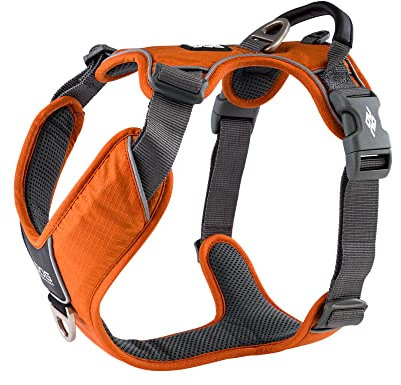 DOG Copenhagen Hundegeschirr V2 Comfort Walk (Pro) Orange Sun Größe L