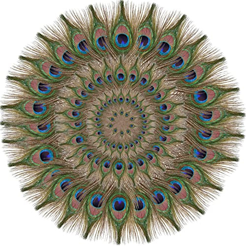 SendyFeather 100pcs Natural Peacock Feathers in Bulk 10-12inch for DIY Craft Wedding Flower Arrangement Christmas Day and Home Decoration