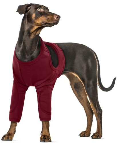 Hund Leckschutz Op Body mit Beinen Liegeschwielen - Hund Leckschutz für Hunde Vorderbeine Hunde Kniebandage Verband (Rot, 2XL)