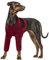 Hund Leckschutz Pfote, Hund Op Body mit Beinen Liegeschwielen Hund Leckschutz für Hunde Vorderbeine Hunde Kniebandage Verband Hund Bein(Rot, 2XL)