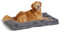 Amazon Basics Maschinenwaschbar Hund Haustierbett - Polyester, graue Wirbel, L 117 x B 74 x H 10 cm