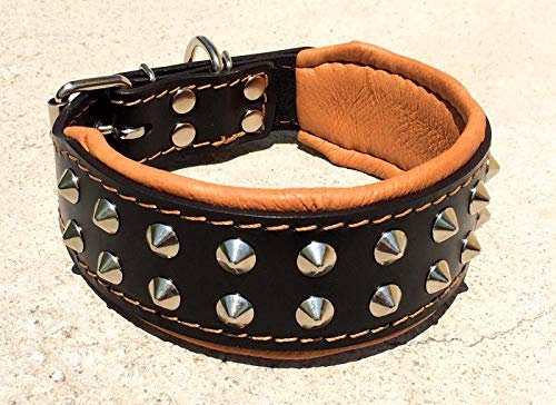 Bestia ''Boston'' Halsband