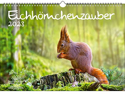 Eichhörnchenzauber DIN A3 Kalender für 2023 Eichhörnchen - Seelenzauber, mehrfarbig, KN2023-3W-0003-D-0