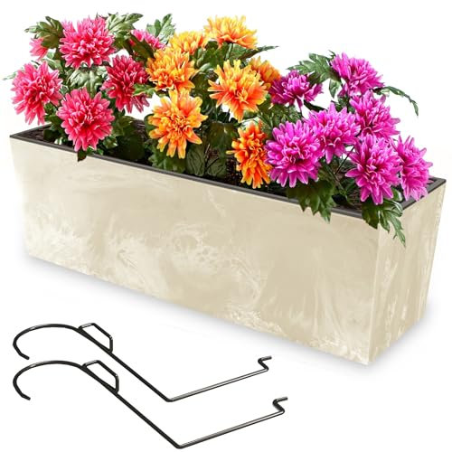 botle Blumenkasten mit Halterung und praktischem Einsatz Blumentopf Länge: 58 cm Balkonkasten auf Kunststoff Betonoptik Beton Struktur Creme Farbe Innen/Außenbereiche